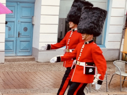 Konzertbegleitung, wie hier beim Schleswig Holstein Musikfestival.