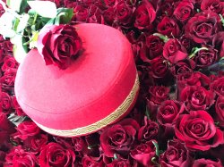 Rosenkavaliere zum Muttertag, zum Valentinstag sind ein Blickfang für Ihre Kundinnen.